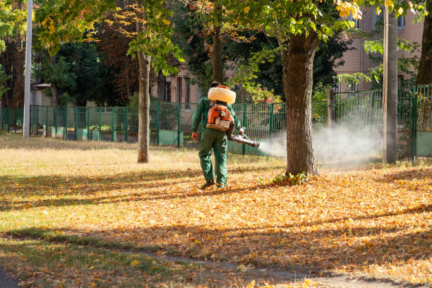 Best Best Pest Control Companies  in Grayson, KY